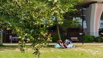 平坦而寬敞的草坪是野餐和其他休閒活動的好去處。